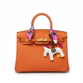 Hermès Birkin 30 Orange - Studio Front View